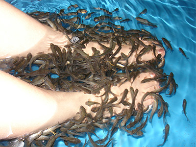Chinese Fish Therapy Traveling China: the fishbowl